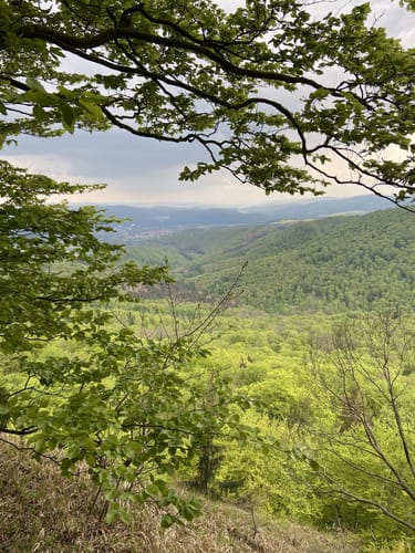 Wanderung RW3: Schöne Aussicht und Hörne