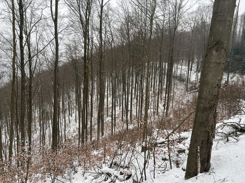 Heimatgeschichtlicher Wanderweg Schönbrunn