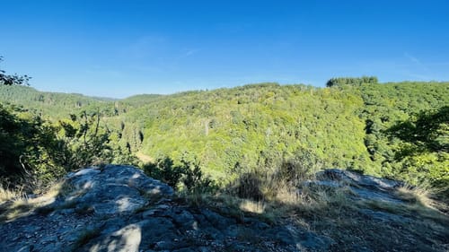 Oberes Baybachtal (Traumschleife)