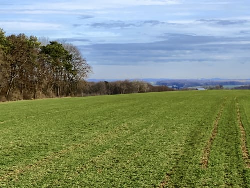 Paradiesgartenweg (Premiumwanderweg)