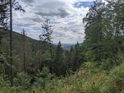 Sophienthal Rundwanderweg Nr. 2