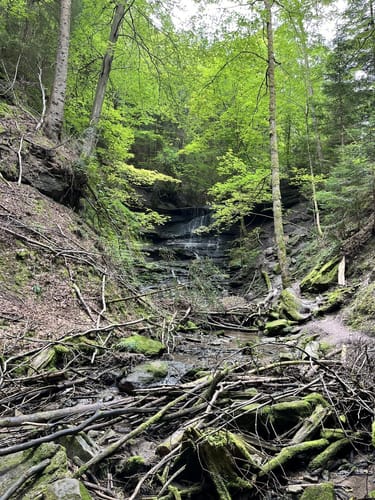 Murrhardt und Hörschbachwasserfälle Rundweg