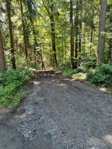 Rundwanderweg Einsiedel