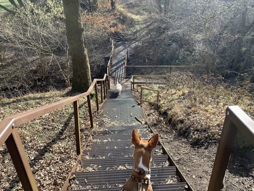 Wikingerland Wanderung (7km)
