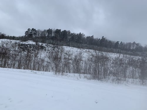 Spaziergang um Sallgast Süd