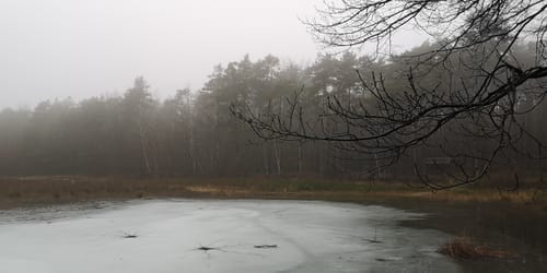 Olganitz durch die Dahlener Heide nach Belgern