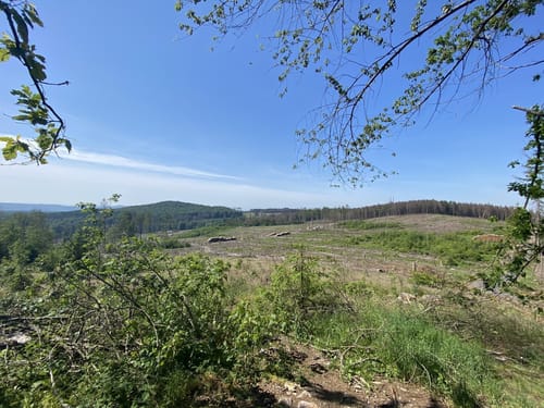Köppelweg 2