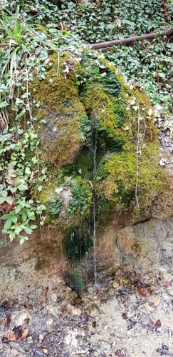 Rund um Lauben unter der Bruck und über den Mariaberg