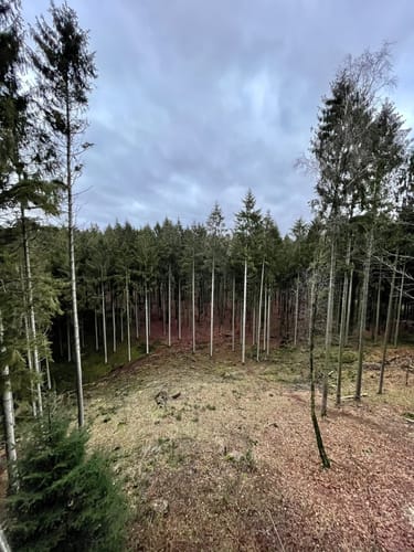 Große Runde durch die Hahnheide ab Feilberg