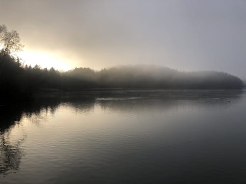 Rund um den Seehamer See