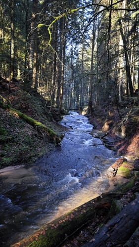 Von Laufenmühle über Althütte und Ebnisee