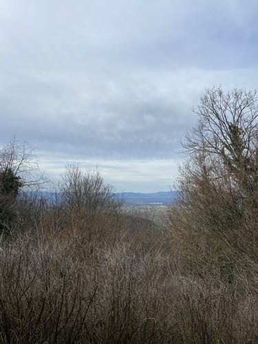 Amoltern Zur KatharinenKappelle