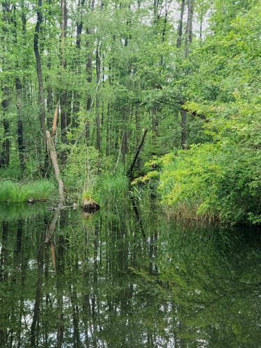 Teichrunde bei Mönau