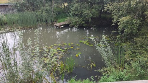 Hohner See