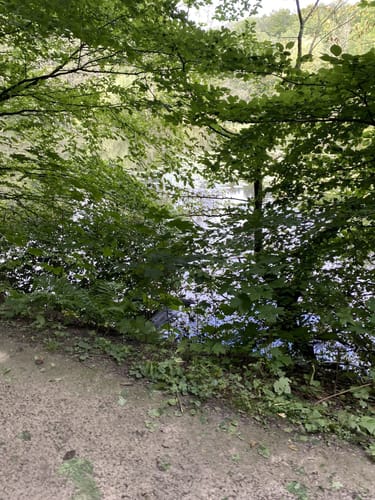 Rund um Oesbern