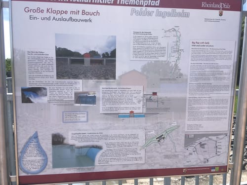 Von Frei-Weinheim entlang des Rheins bis Heidenfahrt