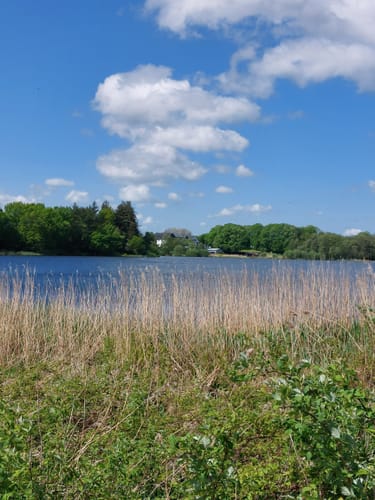 Wanderroute 15: Owschlager See - Owschlager Moor