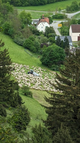 Altmühltal-Panoramaweg Etappe 3: Treuchtlingen - Pappenheim