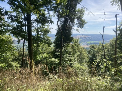 Zu Besuch im Paradies