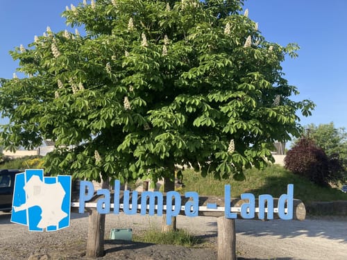 Talsperre Seebach - Burg Seebach