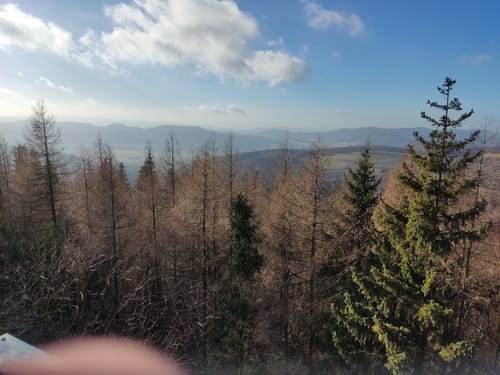 Auf dem Kammweg zum Raabe-Turm (Hz 3)