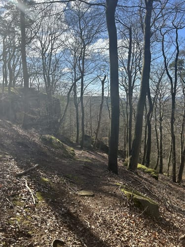 Breitenwald ab Hauptstuhl