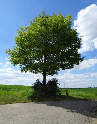Radtour nach Treschklingen