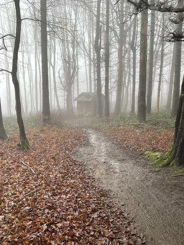 Wittekindsweg Etappe 4: Großer Kellenberg - Nettelstedt