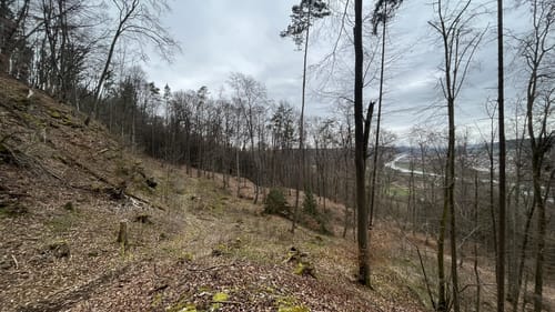 Altmühltal-Panoramaweg: Schlaufe 22