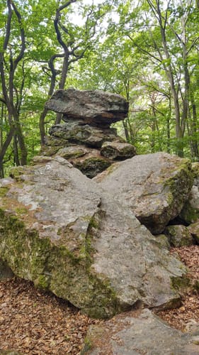 Moseltalschanzen (Moselsteig Seitensprung)