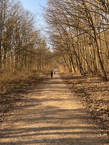 Meise-Rundweg