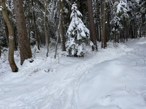 Theodor-Bauer-Weg (Fernwanderweg)