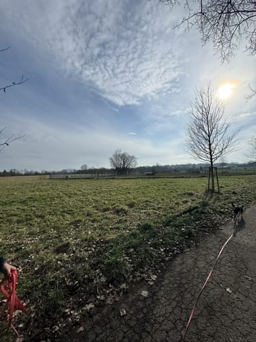 Alte Saar Runde