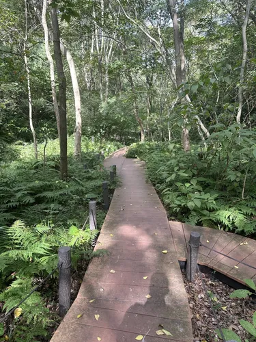 金沢自然公園 植物区エリア - hikes and trails to get you