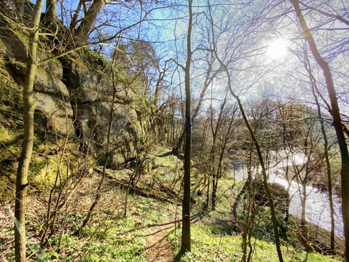 Burgwaldpfad Etappe 3: Münchhausen - Frankenberg