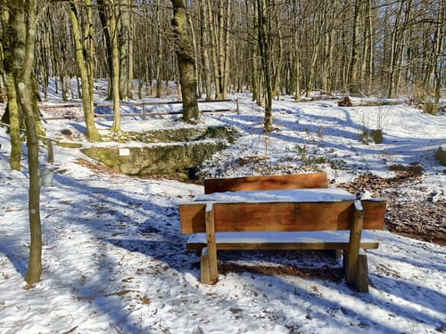 Offizierspfad Imsbach (Tafeltour)