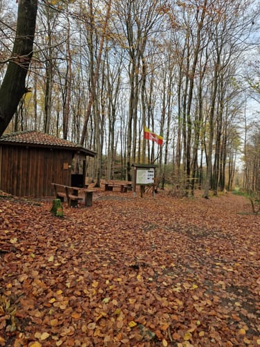 Waldrunde bei Tevenhausen