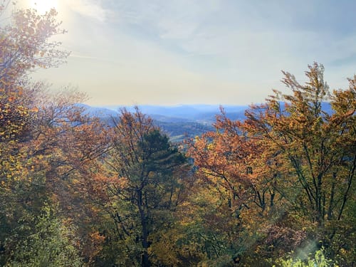 Bärensteig (Premiumwanderweg)