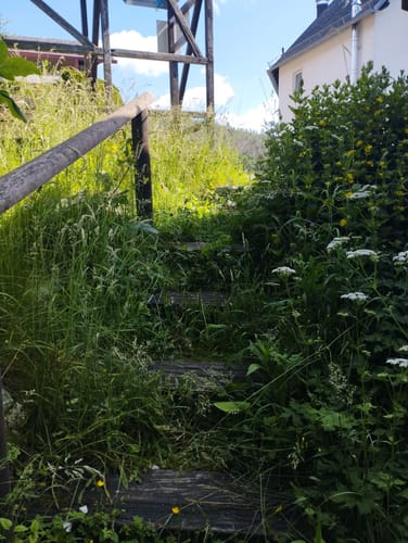 Wisper Geflüster (Premiumwanderweg)