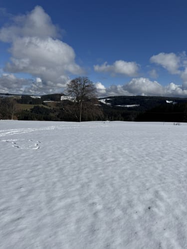 Rund um Mosenberg