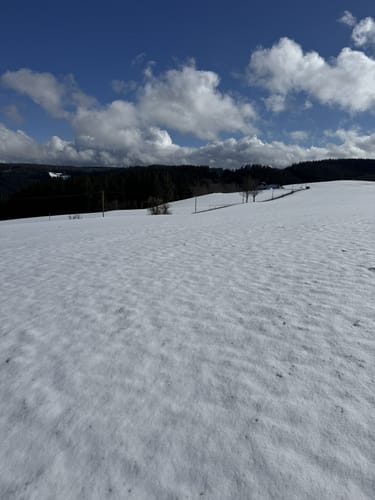 Rund um Mosenberg