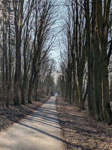 Rundwanderweg A6: Hindahls Kreuz