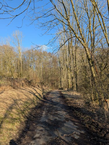Rundwanderweg A6: Hindahls Kreuz