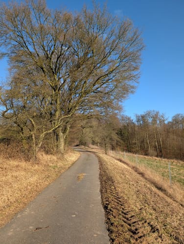 Rundwanderweg A6: Hindahls Kreuz