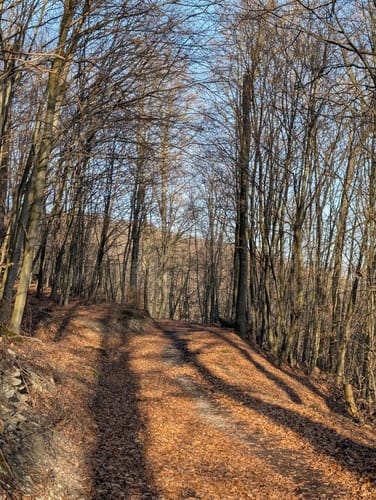 Rundwanderweg A6: Hindahls Kreuz