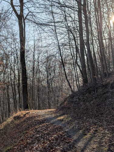 Rundwanderweg A6: Hindahls Kreuz