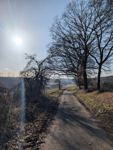 Rundwanderweg A6: Hindahls Kreuz
