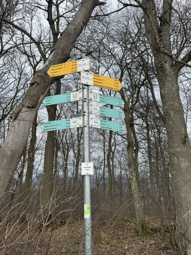 Rundwanderweg 2: Hohenstein – Tegelberg – Kuchalb