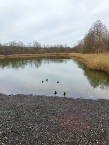Um den Heidesee (Halle an der Saale)