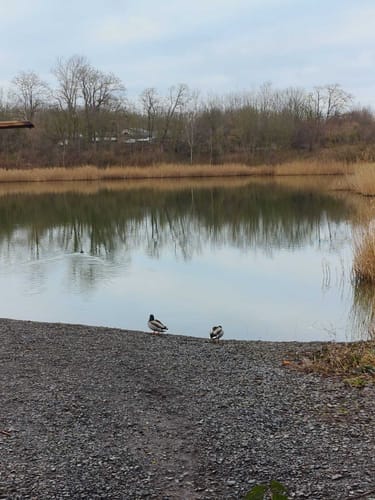 Um den Heidesee (Halle an der Saale)
